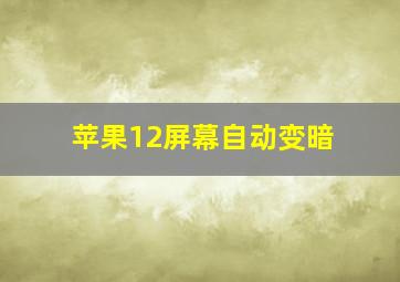 苹果12屏幕自动变暗