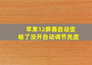 苹果12屏幕自动变暗了没开自动调节亮度