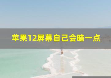 苹果12屏幕自己会暗一点