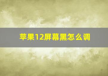 苹果12屏幕黑怎么调