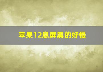 苹果12息屏黑的好慢