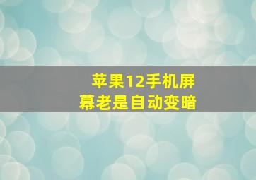 苹果12手机屏幕老是自动变暗