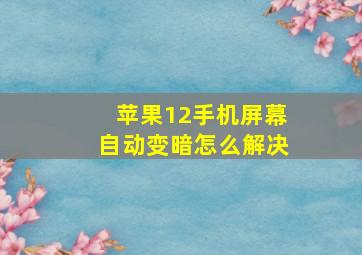 苹果12手机屏幕自动变暗怎么解决