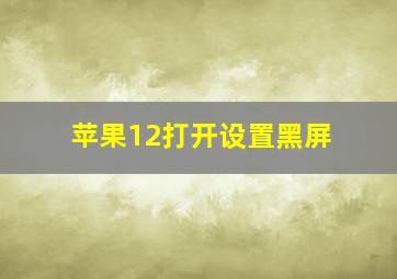 苹果12打开设置黑屏