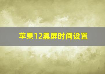 苹果12黑屏时间设置