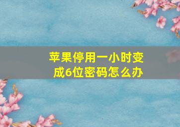 苹果停用一小时变成6位密码怎么办