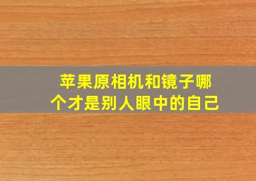 苹果原相机和镜子哪个才是别人眼中的自己