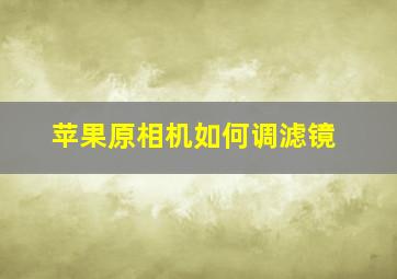 苹果原相机如何调滤镜