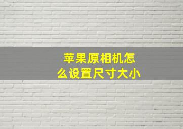 苹果原相机怎么设置尺寸大小