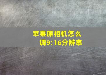 苹果原相机怎么调9:16分辨率