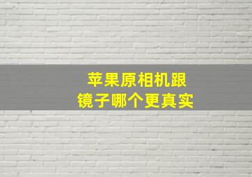 苹果原相机跟镜子哪个更真实