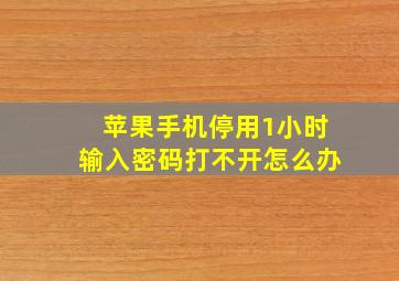 苹果手机停用1小时输入密码打不开怎么办