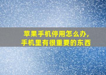 苹果手机停用怎么办,手机里有很重要的东西