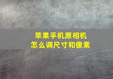 苹果手机原相机怎么调尺寸和像素