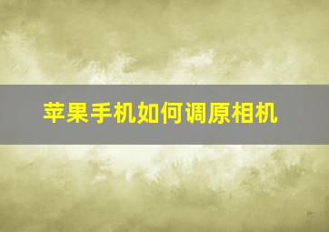 苹果手机如何调原相机