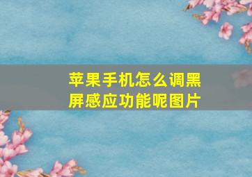 苹果手机怎么调黑屏感应功能呢图片