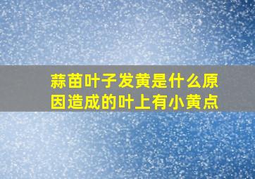 蒜苗叶子发黄是什么原因造成的叶上有小黄点