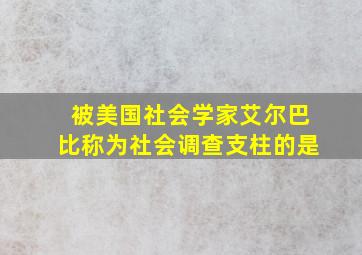 被美国社会学家艾尔巴比称为社会调查支柱的是