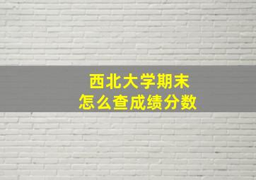 西北大学期末怎么查成绩分数