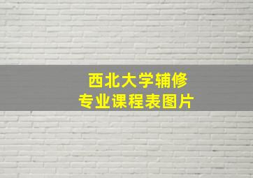 西北大学辅修专业课程表图片