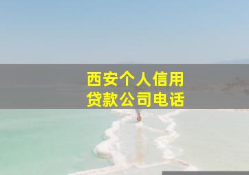 西安个人信用贷款公司电话