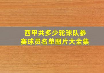 西甲共多少轮球队参赛球员名单图片大全集