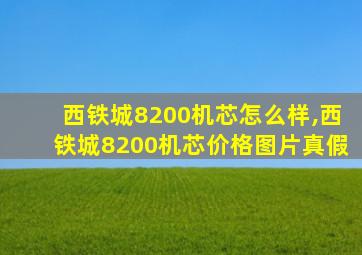 西铁城8200机芯怎么样,西铁城8200机芯价格图片真假