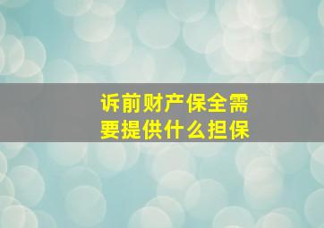 诉前财产保全需要提供什么担保