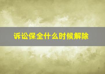 诉讼保全什么时候解除