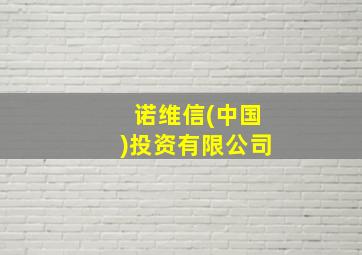 诺维信(中国)投资有限公司