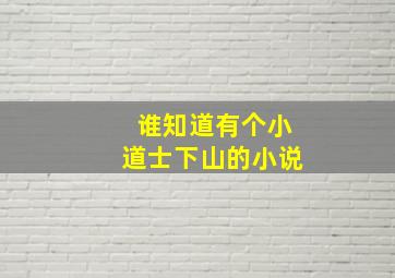 谁知道有个小道士下山的小说