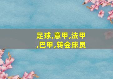 足球,意甲,法甲,巴甲,转会球员