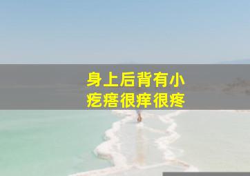 身上后背有小疙瘩很痒很疼