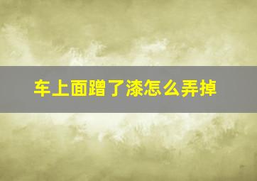 车上面蹭了漆怎么弄掉