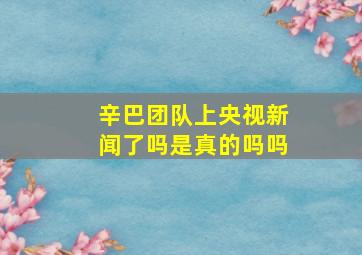 辛巴团队上央视新闻了吗是真的吗吗