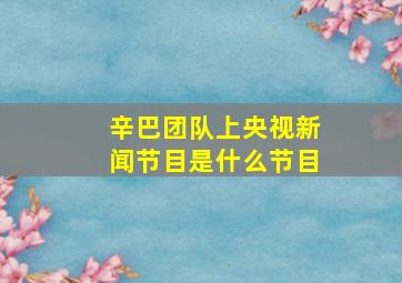 辛巴团队上央视新闻节目是什么节目