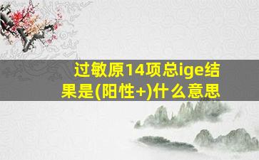 过敏原14项总ige结果是(阳性+)什么意思