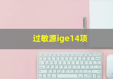 过敏源ige14项