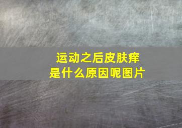 运动之后皮肤痒是什么原因呢图片