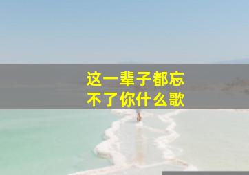 这一辈子都忘不了你什么歌