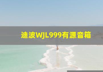 迪波WJL999有源音箱