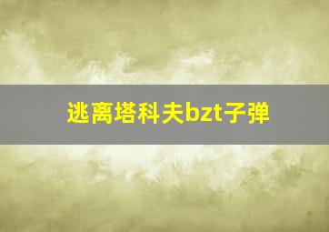 逃离塔科夫bzt子弹