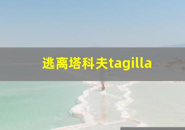 逃离塔科夫tagilla