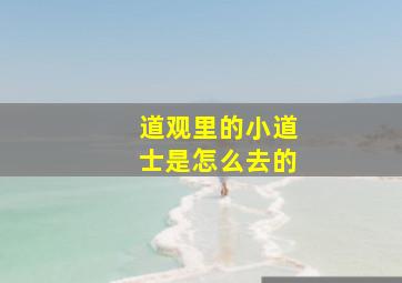 道观里的小道士是怎么去的