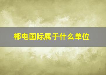 郴电国际属于什么单位