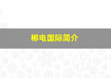 郴电国际简介