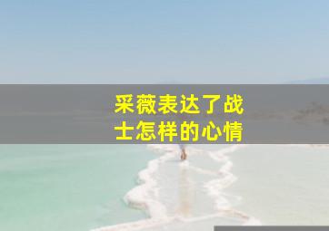 采薇表达了战士怎样的心情