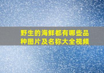 野生的海鲜都有哪些品种图片及名称大全视频