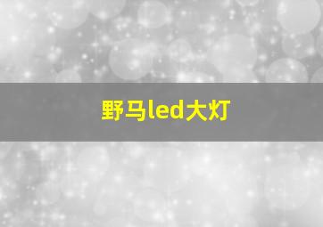 野马led大灯