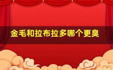 金毛和拉布拉多哪个更臭